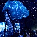 Пузырьковая колоннада в обрамлении кинематической инсталляции. Международная выставка EXPO2020 Дубай