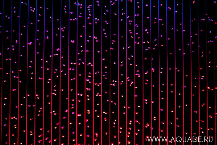 Пузырьковая панель с одиночными  пузырьками Пузырьковая панель с одиночными  пузырьками